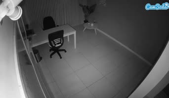 voyeurcam-jb-office-2