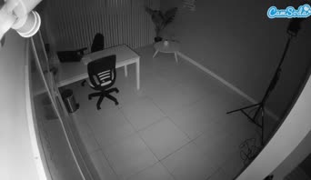 voyeurcam-jb-office-2