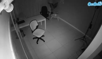 voyeurcam-jb-office-2